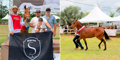 Bia ESF acumula premiações em exposições do Mangalarga Marchador no Espírito Santo